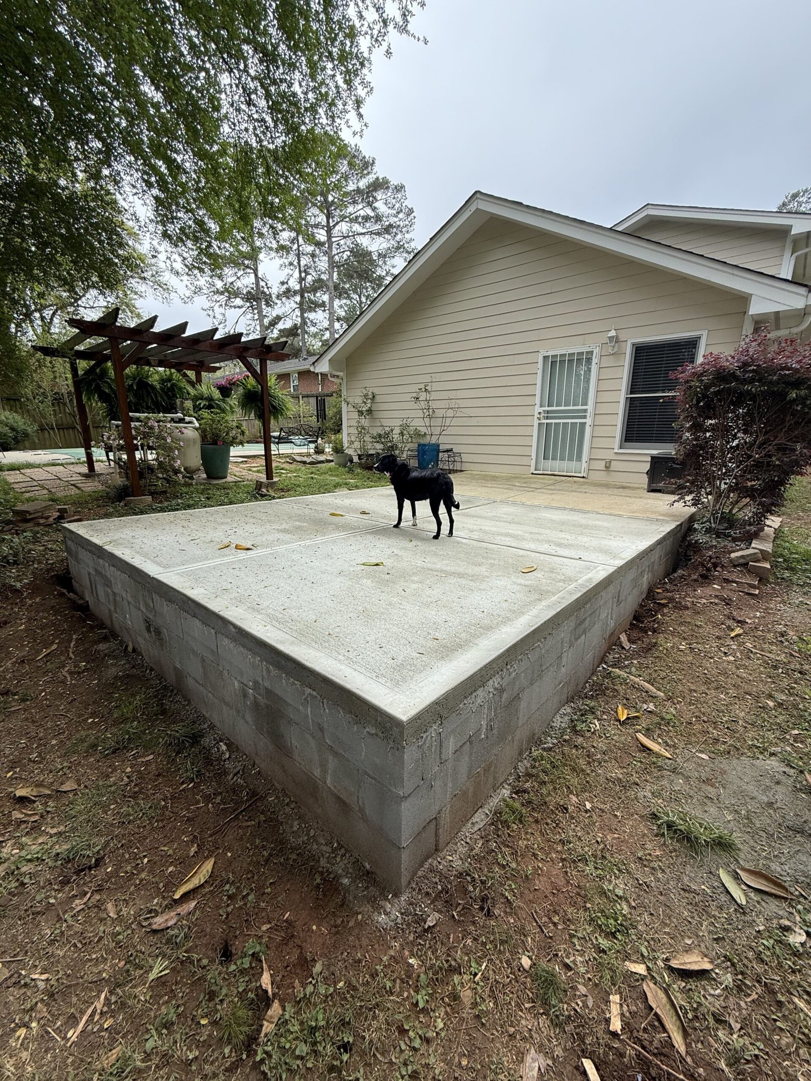 Diseño sin título (1)